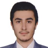 دکتر محمدرضا محمدی