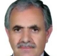 دکتر امیر سجودی حسنلویی