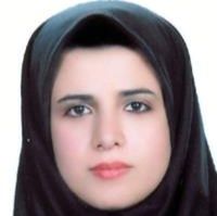 دکتر مهزاد حاجی وندی