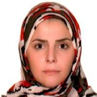 ساناز صنعتی
