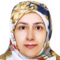 مهناز میری
