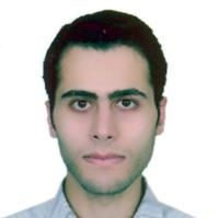 دکتر محمدحسن دبیس