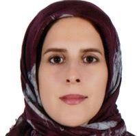 سارا سیدامامی