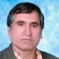 مهدی فرزانه بجستانی