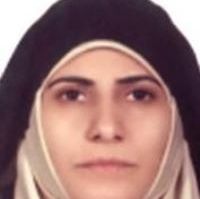 حدیقه سادات موسوی نارنج بن