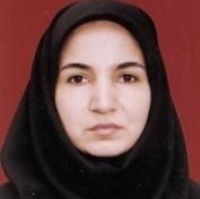 سیما رکنی