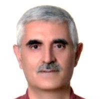 دکتر سیدضیاءالدین طباطبائی محمدی