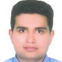 سید احد سید حسینی