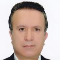 دکتر محمدرضا علیون