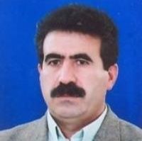 دکتر محمدرسول نجفی