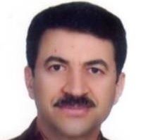 دکتر محمود رباطی انارکی