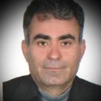 دکتر محمدرضا حقی