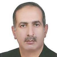 دکتر شهاب حبیبی گنگچین