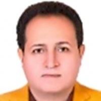 دکتر حمیدرضا راعی