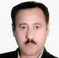 دکتر محمدحسین علیلو