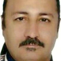 مهرداد عنایتی