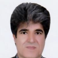 دکتر حسن محبی کردسفلی