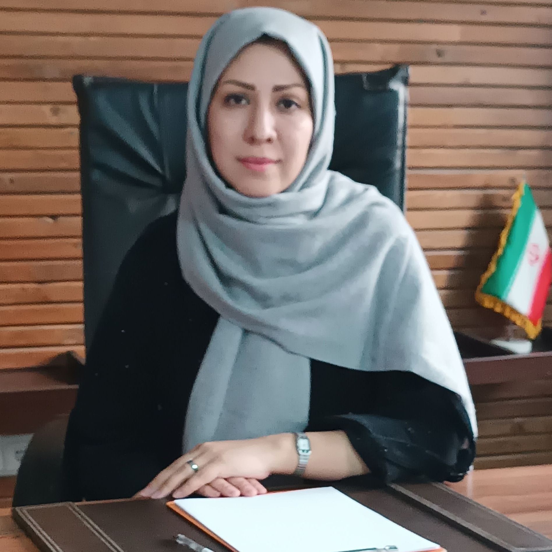 مرضیه احمدی