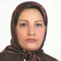 دکتر نوشین شیرمحمدی