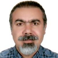 دکتر سیدمحمدحسین میرشمسی
