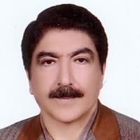 دکتر رضا وحیدی