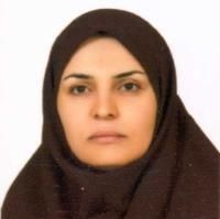 دکتر مرتضی ذوالفقاری