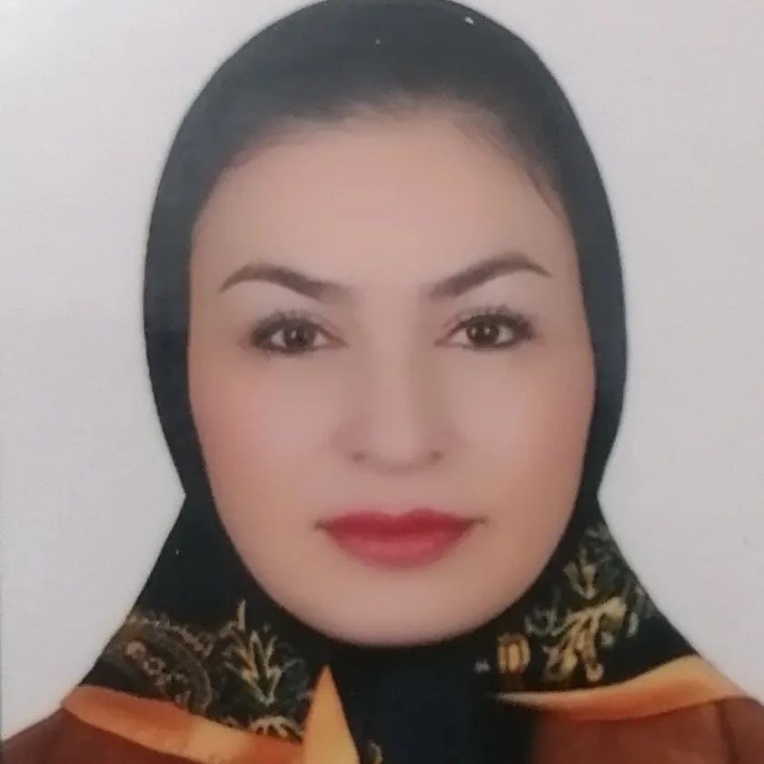 الهام السادات حسینی