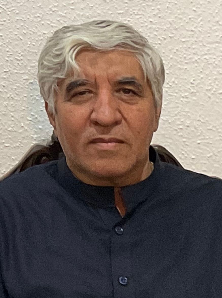 محمدعلی جلایر