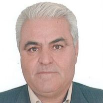 فاضل پنجه ای