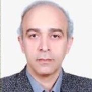 دکتر محسن برزگرمروستی