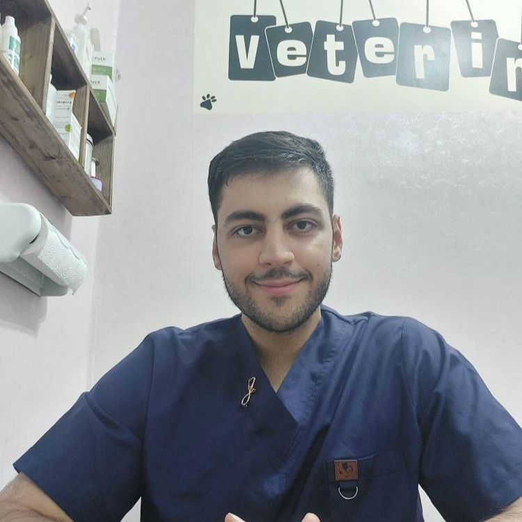 دکتر محمدرضا صغیری