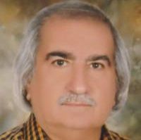 دکتر محمود نوروزی