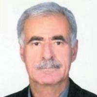دکتر سیدمحمدحسین مرعشی