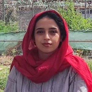 دکتر معینه برخوری مهنی