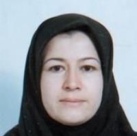 دکتر اکرم همکار