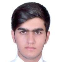 شایان احمدی میرقائد