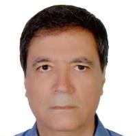 دکتر غلامحسن انصاری