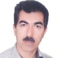 دکتر حمیدرضا سلیمان نژاد