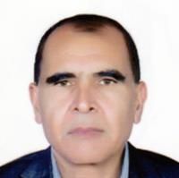 دکتر روح اله علیمرادی بردسیری