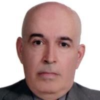 دکتر سیدابراهیم الهامی