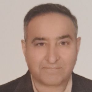 دکتر محمدجواد میردامادی