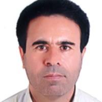 دکتر مجید شیرپورینگجه