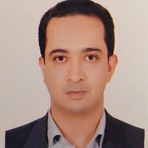 دکتر محمد هادی مرتضوی
