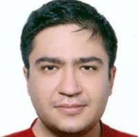 سیدامیرحسین صفوی