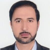 دکتر محمدرضا وحیدفر