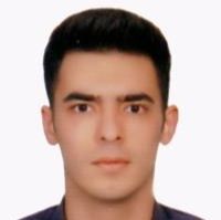 دکتر وحید ابوالحسنی