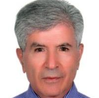 دکتر سیدحجت الله سیدین آزاد