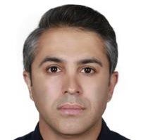 دکتر سعید ابراهیمی میمند
