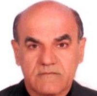 دکتر سیدمحمود معراجی