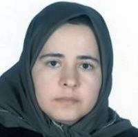 دکتر فیروزه طلیسچی هروی